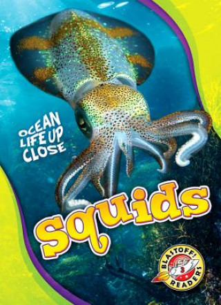 Carte Squids Nathan Sommer