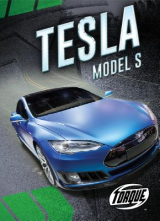 Kniha Tesla Model S Emily Rose Oachs