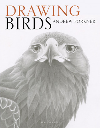 Książka Drawing Birds Andrew Forkner