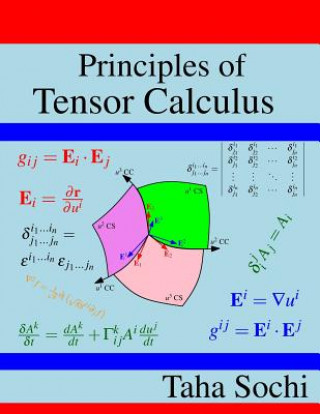 Kniha Principles of Tensor Calculus: Tensor Calculus Taha Sochi