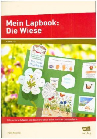 Könyv Mein Lapbook: Die Wiese Petra Mönning