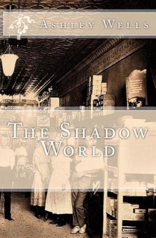 Book The Shadow World Ashley Wells