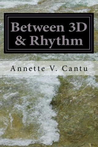 Knjiga Between 3D & Rhythm: Thirty Perspectives Annette Vasquez Cantu