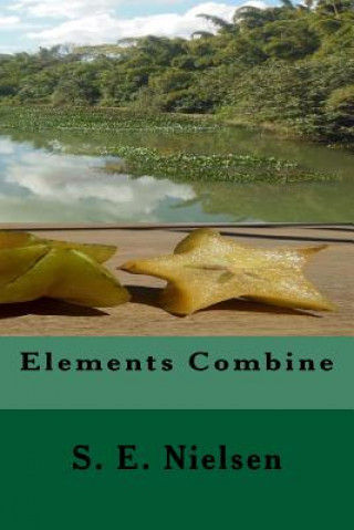 Книга Elements Combine S E Nielsen