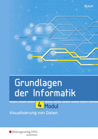 Kniha Grundlagen der Informatik - Modul 4: Visualisierung von Daten Wolfgang Braun