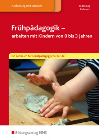 Kniha Frühpädagogik - arbeiten mit Kindern von 0 bis 3 Jahren: Schülerband Irmgard Kollmann