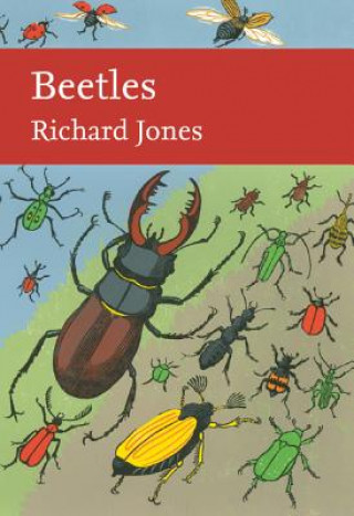 Kniha Beetles Richard Jones