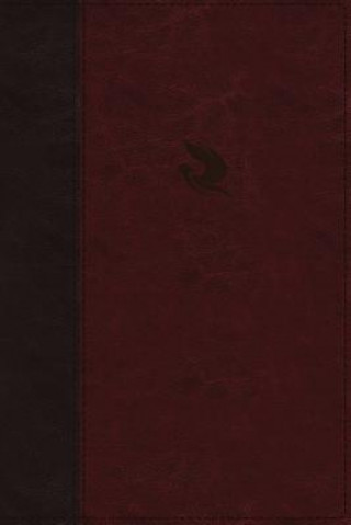 Kniha NKJV, Spirit-Filled Life Bible, Third Edition, Leathersoft, Burgundy, Red Letter, Comfort Print Jack Hayford