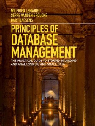 Kniha Principles of Database Management Lemahieu