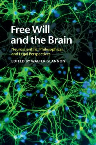 Buch Free Will and the Brain Walter Glannon