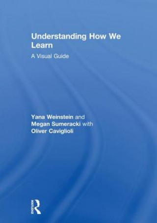 Kniha Understanding How We Learn Weinstein