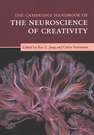 Βιβλίο Cambridge Handbook of the Neuroscience of Creativity Rex E Jung