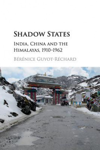 Knjiga Shadow States Berenice (King's College London) Guyot-Rechard