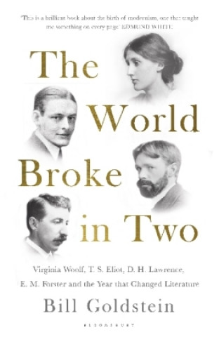 Könyv World Broke in Two Bill Goldstein