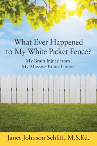 Knjiga What Ever Happened to My White Picket Fence? JANET SCHLIFF MSED