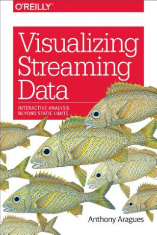 Kniha Visualizing Streaming Data Anthony Aragues