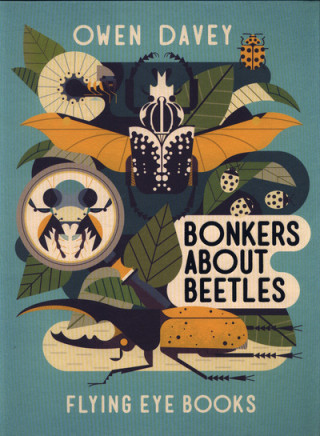 Könyv Bonkers About Beetles Owen Davey