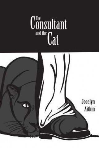 Könyv The Consultant and the Cat Jocelyn Aitkin