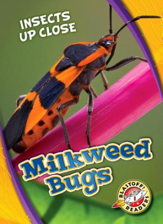 Carte Milkweed Bugs Patrick Perish