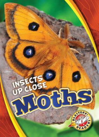 Carte Moths Patrick Perish