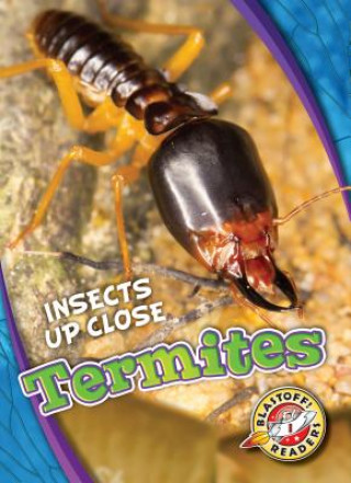 Kniha Termites Patrick Perish