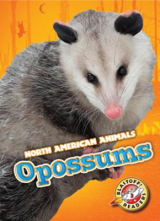 Kniha Opossums Betsy Rathburn