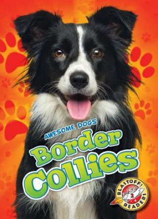 Knjiga Border Collies Rebecca Sabelko