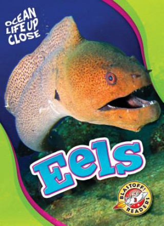 Książka Eels Nathan Sommer