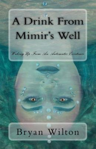 Carte Drink from Mimir's Well Bryan Wilton