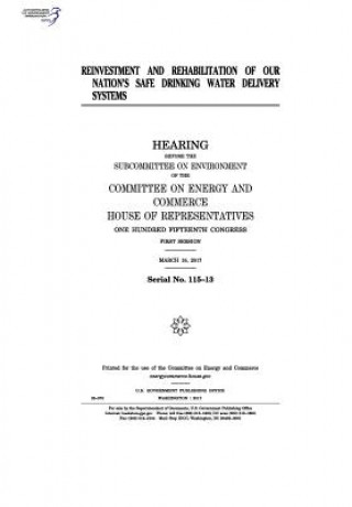 Kniha Reinvestment and rehabilitation of our nation's safe drinking water delivery systems: hearing before the Subcommittee on Environment of the Committee United States Congress