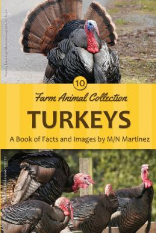 Knjiga Turkeys M/N Martinez