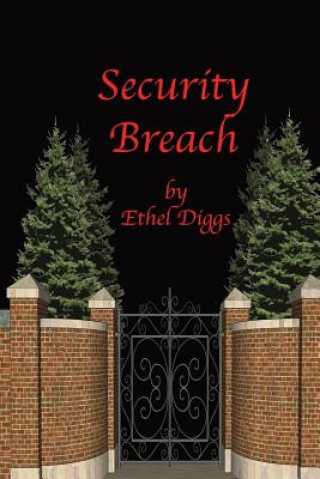Carte Security Breach Ethel B Diggs