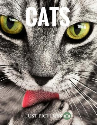Book Cats Just Pictures!