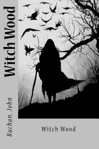 Книга Witch Wood Buchan John