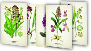 Joc / Jucărie Kunstklappkarten "Zauberhafte Orchideen" Quelle & Meyer Verlag
