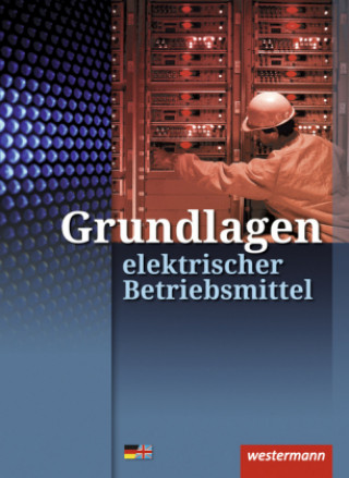 Könyv Grundlagen elektrischer Betriebsmittel Heinrich Hübscher