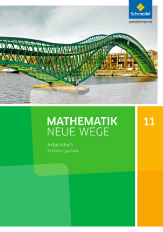 Kniha Mathematik Neue Wege SII - Ausgabe 2017 für Niedersachsen und Rheinland-Pfalz 