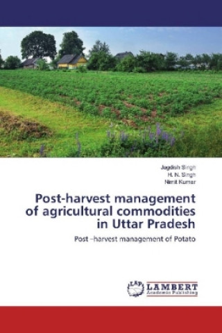 Kniha Post-harvest management of agricultural commodities in Uttar Pradesh Jagdish Singh