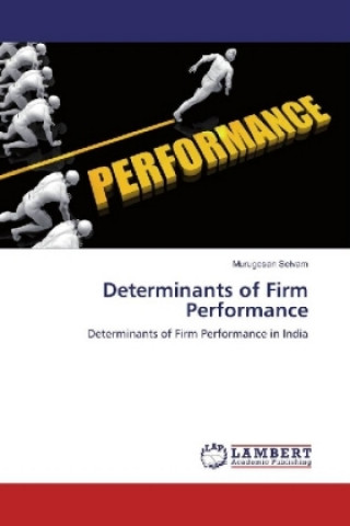 Kniha Determinants of Firm Performance Murugesan Selvam