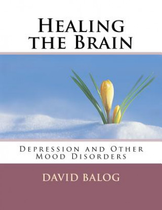 Kniha Healing the Brain: Depression and Other Mood Disorders David Balog