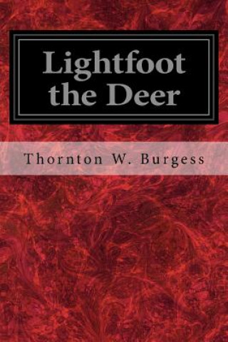 Kniha Lightfoot the Deer Thornton W Burgess