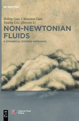 Buch Non-Newtonian Fluids Boling Guo