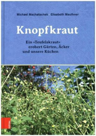 Kniha Das Knopfkraut Michael Machatschek