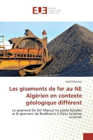 Książka Les gisements de fer au NE Algérien en contexte géologique différent Nabil Manchar