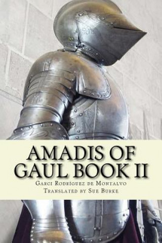 Книга Amadis of Gaul Book II Garci Rodriguez De Montalvo