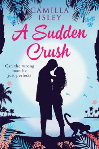 Kniha A Sudden Crush: A Romantic Comedy Large Print Edition Camilla Isley
