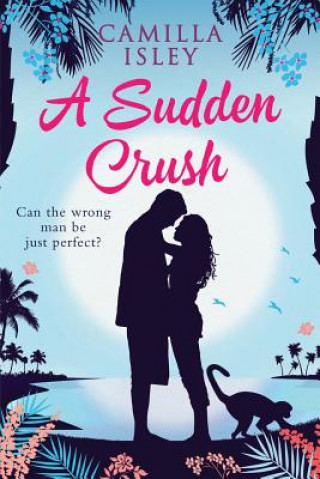 Knjiga A Sudden Crush: A Romantic Comedy Large Print Edition Camilla Isley