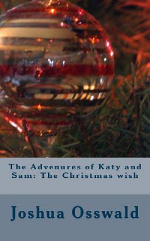 Könyv The Advenures of Katy and Sam: The Christmas wish Joshua J Osswald
