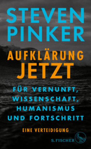 Kniha Aufklärung jetzt Steven Pinker