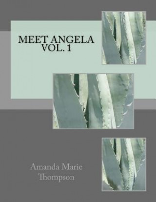 Knjiga Meet Angela Vol. 1 Amanda Marie Thompson